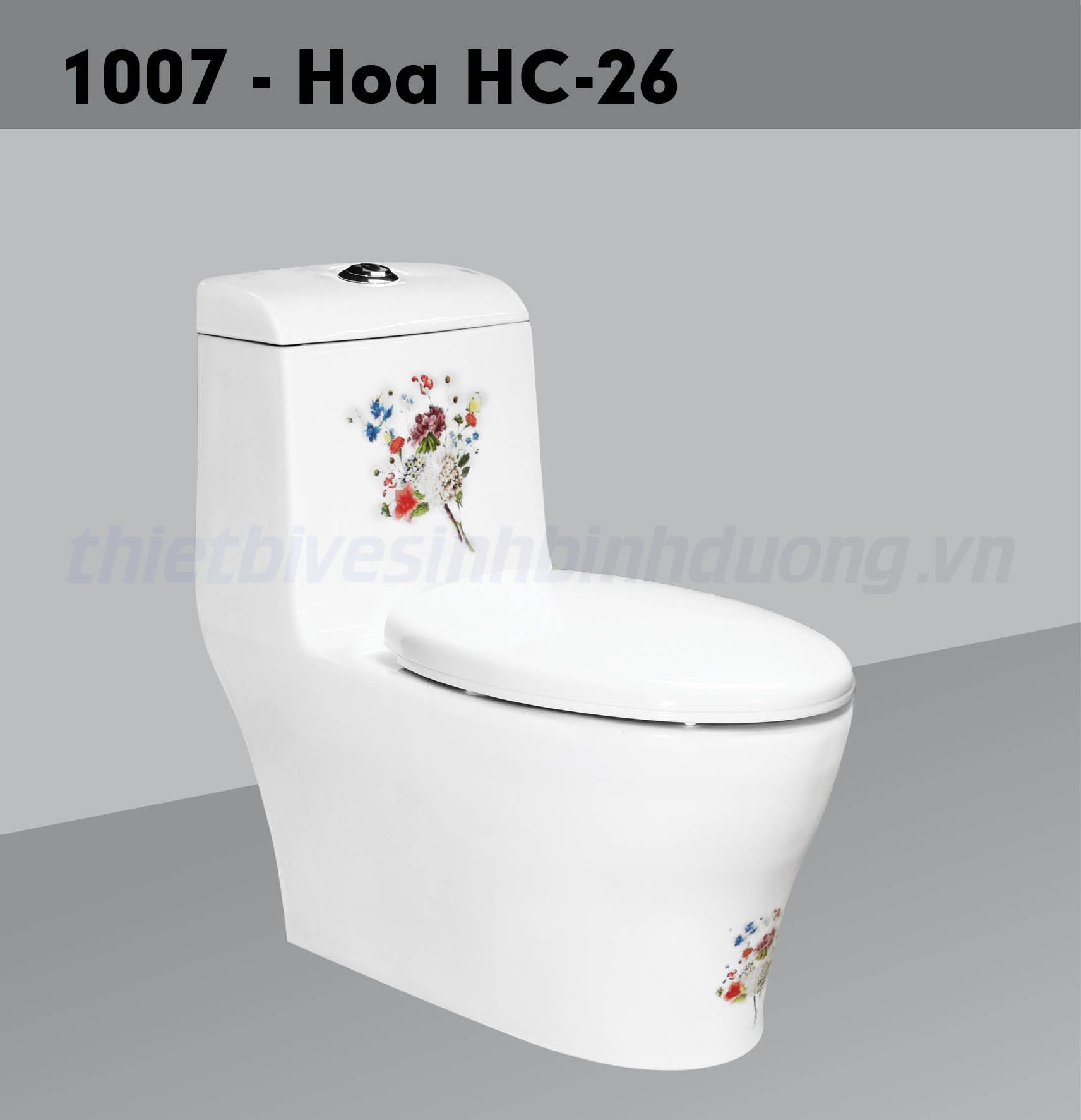 Bồn cầu sứ Hảo Cảnh HC 1007